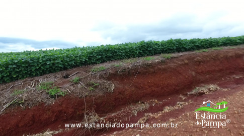DOS EÓLICOS VIRA P FAZENDA_Moment.00_01_17_19.Quadro144_919fe2969da5fd7dcc58c7e70e53ada8abe10395.jpg